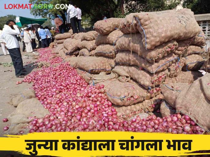 Kanda Bajar Bhav : Onion prices increased in Kedgaon market How is the price of new onions getting? | Kanda Bajar Bhav : केडगाव बाजार समितीत कांद्याचे भाव वाढले नव्या कांद्याला कसा मिळतोय दर