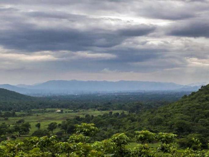 Internal strife in IFS lobby, impact on operations in forest department | आयएफएस लॉबीत अंतर्गत कलह, वन विभागात कामकाजावर परिणाम Internal strife in IFS lobby, impact on operations in forest department | आयएफएस लॉबीत अंतर्गत कलह, वन विभागात कामकाजावर परिणाम