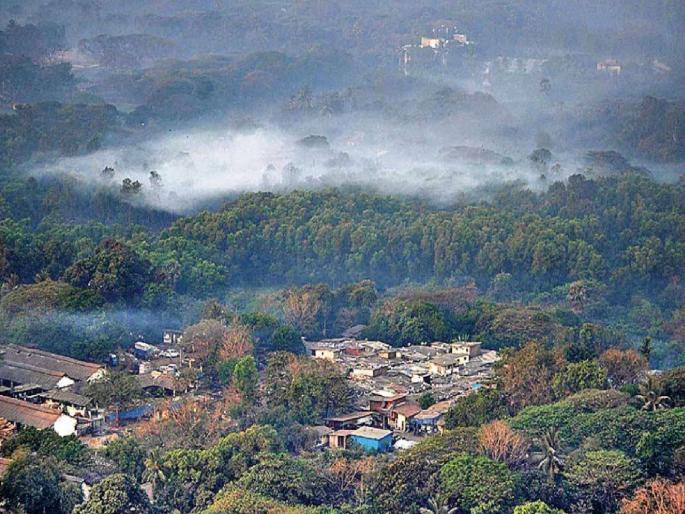 Preserve the forests of Mumbai for at least oxygen; Appeal to environmentalists | किमान ऑक्सिजनसाठी तरी मुंबईतील जंगल टिकवा; पर्यावरणप्रेमींचे आवाहन Preserve the forests of Mumbai for at least oxygen; Appeal to environmentalists | किमान ऑक्सिजनसाठी तरी मुंबईतील जंगल टिकवा; पर्यावरणप्रेमींचे आवाहन