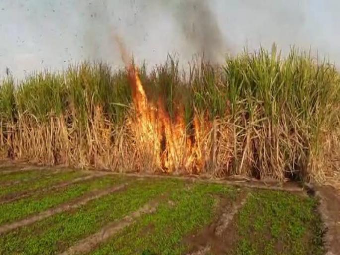 25 acres of sugarcane burnt to ashes by short circuit in Jadhavwadi of Junnar Loss of millions of rupees | जुन्नरच्या जाधववाडीत शॉर्टसर्किटने २५ एकर ऊस जळून खाक; शेतकऱ्यांचे लाखो रूपयांचे नुकसान