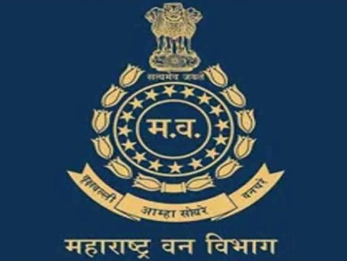 Accused of not reporting timings, marks in forest department run test; Confusion by parents | वन विभागाच्या धाव चाचणीत टायमिंग, मार्क न सांगितल्याचा आरोप; पालकांनी घातला गोंधळ Accused of not reporting timings, marks in forest department run test; Confusion by parents | वन विभागाच्या धाव चाचणीत टायमिंग, मार्क न सांगितल्याचा आरोप; पालकांनी घातला गोंधळ