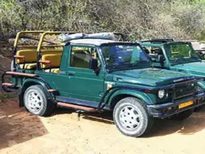 Gypsy offers free safari without booking; Shocking types of Tadoba Tiger projects night safari | बुकिंगविनाच जिप्सीने केली फुकटची सफारी; ताडोबा प्रकल्पाच्या नाईट सफारीतील धक्कादायक प्रकार Gypsy offers free safari without booking; Shocking types of Tadoba Tiger projects night safari | बुकिंगविनाच जिप्सीने केली फुकटची सफारी; ताडोबा प्रकल्पाच्या नाईट सफारीतील धक्कादायक प्रकार