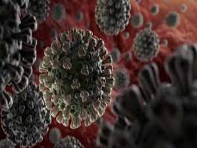 In Pune city, 2 thousand 25 new corona-infected and 4 thousand 825 patients were overcome with corona on Sunday | Pune Corona News: पुणे शहरात रविवारी २ हजार २५ नवे कोरोनाबाधित, तर ४ हजार ८२५ रुग्णांची कोरोनावर मात In Pune city, 2 thousand 25 new corona-infected and 4 thousand 825 patients were overcome with corona on Sunday | Pune Corona News: पुणे शहरात रविवारी २ हजार २५ नवे कोरोनाबाधित, तर ४ हजार ८२५ रुग्णांची कोरोनावर मात