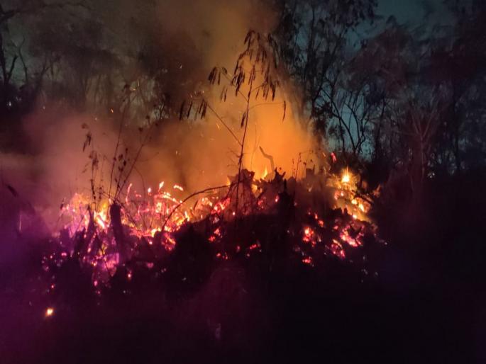 Fire breaks out again on Taljai hill forest wealth reduced to ashes due to carelessness, one acre area burnt to ashes | तळजाई टेकडीवर पुन्हा आगीच्या झळा, बेपर्वाईमुळे वन संपत्तीची राख, एक एकरचा परिसर जळून खाक Fire breaks out again on Taljai hill forest wealth reduced to ashes due to carelessness, one acre area burnt to ashes | तळजाई टेकडीवर पुन्हा आगीच्या झळा, बेपर्वाईमुळे वन संपत्तीची राख, एक एकरचा परिसर जळून खाक