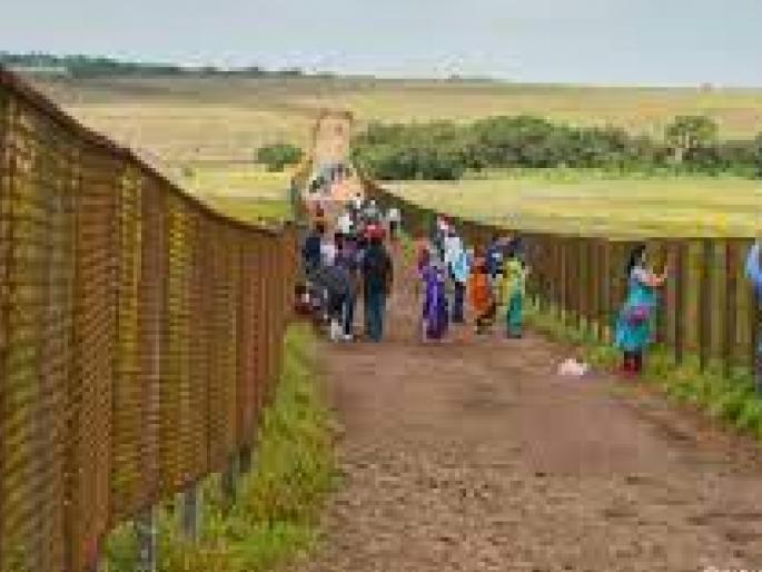 Monsoon tourism opened on Kas Plateau Satara, ban on walking in flower area! | Satara: कास पुष्प पठारावर पावसाळी पर्यटन खुले, फुलांच्या क्षेत्रात फिरण्यास बंदी ! Monsoon tourism opened on Kas Plateau Satara, ban on walking in flower area! | Satara: कास पुष्प पठारावर पावसाळी पर्यटन खुले, फुलांच्या क्षेत्रात फिरण्यास बंदी !