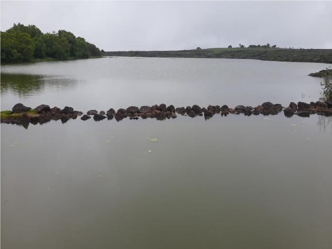 The rains flooded Kumudini Lake on the Kaas plateau | कास पठारावरील कुमूदिनी तलाव भरला, तलावाला 'अस' पडलं नाव