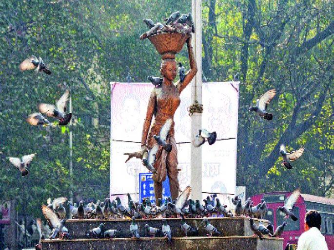 Dangers are in danger! Pune's health hazard | कबुतरांचा धोका पोहोचला महापालिकेत ! पुणेकरांचे आरोग्य धोक्यात  Dangers are in danger! Pune's health hazard | कबुतरांचा धोका पोहोचला महापालिकेत ! पुणेकरांचे आरोग्य धोक्यात