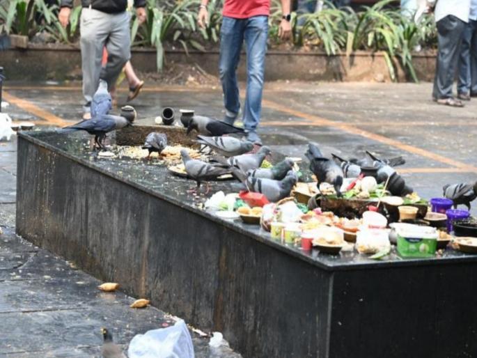pune news Pigeon infestation increasing in Pune too; Serious health threat | पुण्यातही कबुतरांचा वाढता उपद्रव; वैकुंठ स्मशानभूमीत कावळ्यांपेक्षा कबुतरांची संख्या जास्त