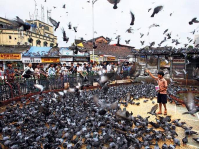Jain community to form medico legal study committee over kabutar khana Row | जैन समाज वैद्यकीय-कायदेशीर, अभ्यास समिती स्थापन करणार