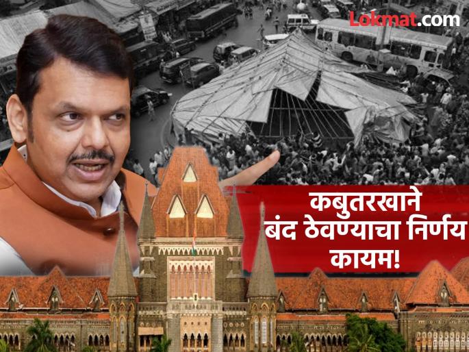 Citizens' health is important, don't disobey orders; Bombay High Court slams state government | नागरिकांचं आरोग्य महत्त्वाचं, आदेशाचा अवमान करू नका; मुंबई उच्च न्यायालयाने पिळले कान
