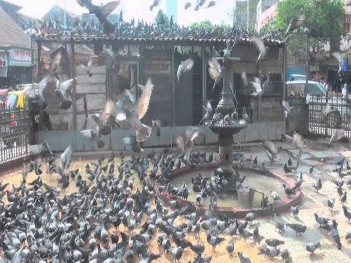 No one should talk to the media about Kabutar Khanya till August 13 Jain Federation Lalit Gandhi appeals | १३ ऑगस्टपर्यंत कोणीही माध्यमांशी बोलू नये; जैन महासंघाचे ललित गांधी यांचे आवाहन No one should talk to the media about Kabutar Khanya till August 13 Jain Federation Lalit Gandhi appeals | १३ ऑगस्टपर्यंत कोणीही माध्यमांशी बोलू नये; जैन महासंघाचे ललित गांधी यांचे आवाहन