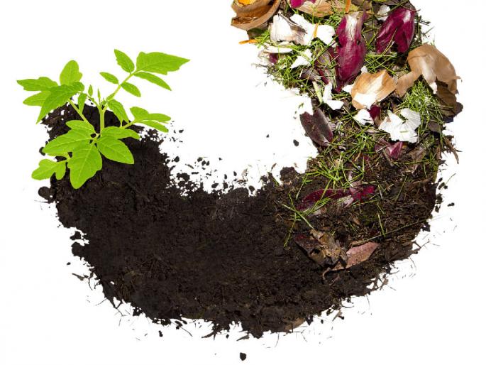 lockdown- DIY - home composting- stay at home activity for kids. | कचऱ्यात सोनं आहे, तुमच्या घरातल्या कचऱ्यातही ! -शोधा तर खरं lockdown- DIY - home composting- stay at home activity for kids. | कचऱ्यात सोनं आहे, तुमच्या घरातल्या कचऱ्यातही ! -शोधा तर खरं