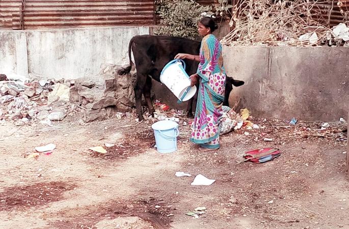 Lokmat Initiative; A public awareness rally to remove the garbage dump! | लोकमत इनिशिएटिव्ह; कचरा टाकणाºयांना जाग यावी यासाठी नगरसेविका काढणार जनजागृती रॅली ! Lokmat Initiative; A public awareness rally to remove the garbage dump! | लोकमत इनिशिएटिव्ह; कचरा टाकणाºयांना जाग यावी यासाठी नगरसेविका काढणार जनजागृती रॅली !