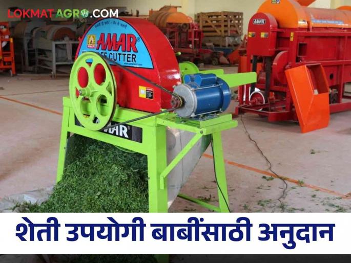 Farmers get 50% subsidy on plough, engine, tarpaulin, chaff cutter and farm implements | शेतकऱ्यांनो ५० टक्के सवलतीनं घ्या नांगर, इंजिन, ताडपत्री, कडबाकुट्टी व शेत औजारे Farmers get 50% subsidy on plough, engine, tarpaulin, chaff cutter and farm implements | शेतकऱ्यांनो ५० टक्के सवलतीनं घ्या नांगर, इंजिन, ताडपत्री, कडबाकुट्टी व शेत औजारे