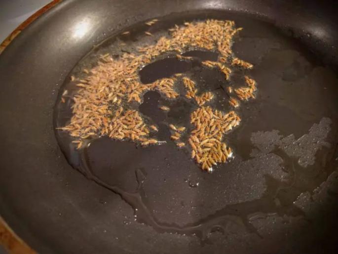 Cumin seeds will be expensive! The rains hit the crop | जिऱ्याची फोडणी महागणार! पावसामुळे पिकाला फटका Cumin seeds will be expensive! The rains hit the crop | जिऱ्याची फोडणी महागणार! पावसामुळे पिकाला फटका