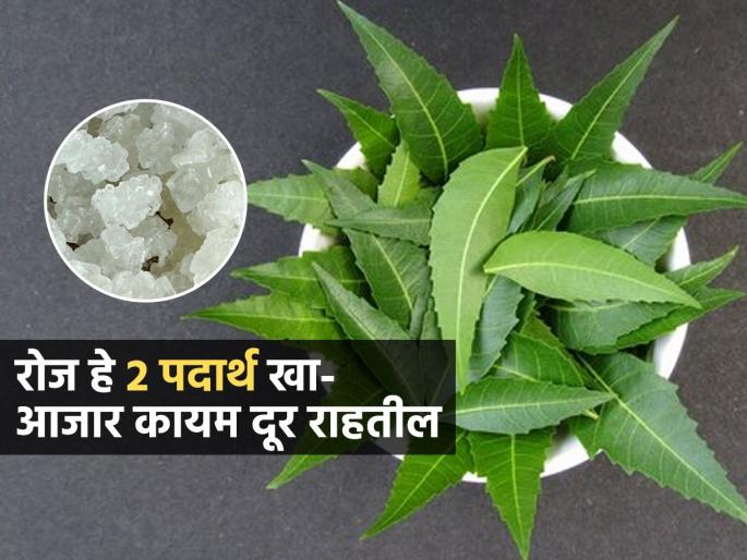 PM Narendra Modi Eats Neem Leaves And Mishri Know What are Consumeing Neem And Mishri Daily | कडूनिंब आणि खडीसाखरेचं औषध ठेवते अनेक आजारांना दूर, त्वचाही होते नितळ आणि मऊ
