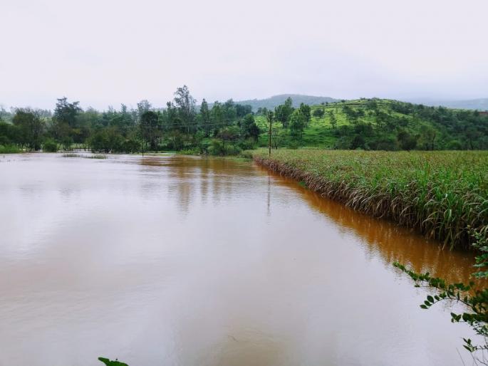 Kolhapur: 7500 thousand cubic feet of cow dung disappeared from the milkgong | कोल्हापूर : दूधगंगेतून ७५०० हजार घनफुटांचा विसर्ग, जोर ओसरला