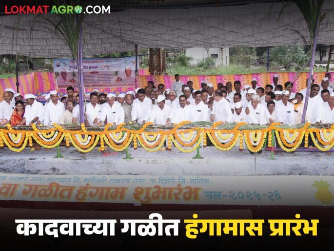 Mud-slinging season begins, appeal to plant maximum sugarcane | Kadawa Sugar Factory : कादवाच्या गळीत हंगामास प्रारभ, जास्तीत जास्त ऊस लागवड करण्याचे आवाहन  Mud-slinging season begins, appeal to plant maximum sugarcane | Kadawa Sugar Factory : कादवाच्या गळीत हंगामास प्रारभ, जास्तीत जास्त ऊस लागवड करण्याचे आवाहन