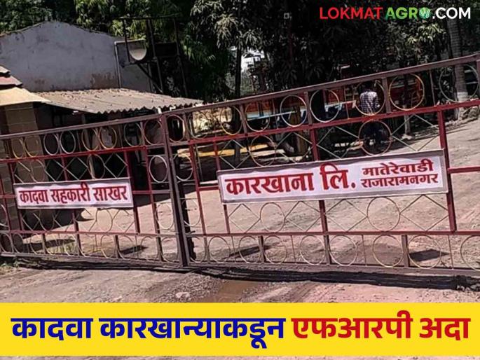 Latest News Agriculture News Pay full FRP from Kadawa Sugar Factory in Nashik, read in detail  | Kadawa Sugar Factory : नाशिकच्या कादवा कारखान्याने किती एफआरपी अदा केली? वाचा सविस्तर  Latest News Agriculture News Pay full FRP from Kadawa Sugar Factory in Nashik, read in detail  | Kadawa Sugar Factory : नाशिकच्या कादवा कारखान्याने किती एफआरपी अदा केली? वाचा सविस्तर