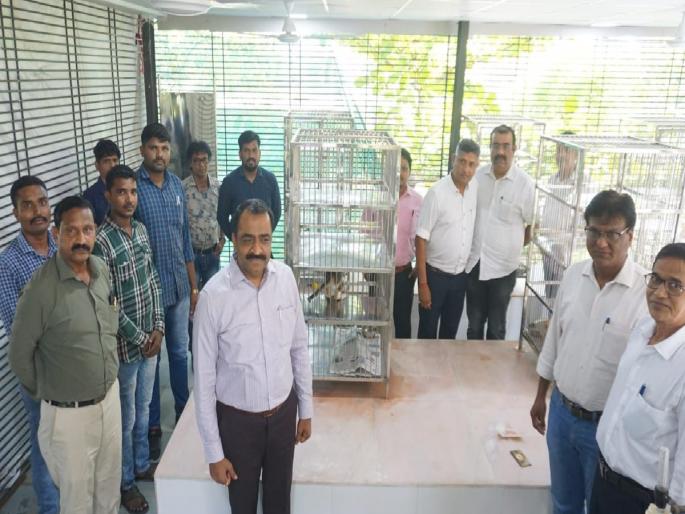 Sterilization of cats followed by dogs Inauguration of Stray Cat Vaccination and Sterilization Center of Panvel Municipal Corporation | कुत्र्यांच्या पाठोपाठ मांजरांचे निर्बिजीकरण; पनवेल महानगरपालिकेच्या भटक्या मांजराचे लसीकरण व निर्बिजीकरण केंद्राचे उद्घाटन Sterilization of cats followed by dogs Inauguration of Stray Cat Vaccination and Sterilization Center of Panvel Municipal Corporation | कुत्र्यांच्या पाठोपाठ मांजरांचे निर्बिजीकरण; पनवेल महानगरपालिकेच्या भटक्या मांजराचे लसीकरण व निर्बिजीकरण केंद्राचे उद्घाटन