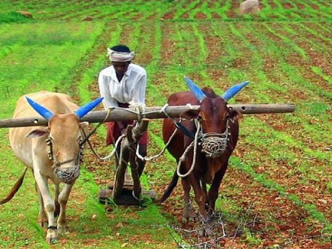 48 paisa final average of Kharif crops; Make way for discounts to be applied | खरीप पिकांची अंतिम पैसेवारी सरासरी ४८ पैसे; सवलती लागू होण्याचा मार्ग मोकळा 48 paisa final average of Kharif crops; Make way for discounts to be applied | खरीप पिकांची अंतिम पैसेवारी सरासरी ४८ पैसे; सवलती लागू होण्याचा मार्ग मोकळा