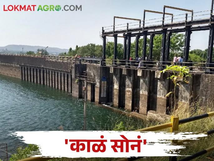 28 lakh tons of soil was removed from this dam | या धरणातून काढला तब्बल २८ लाख टन गाळ 28 lakh tons of soil was removed from this dam | या धरणातून काढला तब्बल २८ लाख टन गाळ