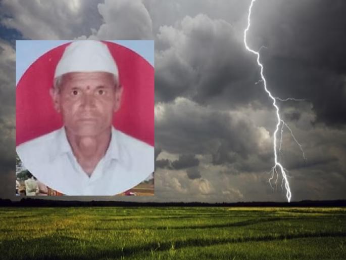 Farmer and cow killed by lightning in Kekanwadi, Kaij taluka | केज तालुक्यातील केकाणवाडीत वीज पडून शेतकऱ्यासह गाय दगावली Farmer and cow killed by lightning in Kekanwadi, Kaij taluka | केज तालुक्यातील केकाणवाडीत वीज पडून शेतकऱ्यासह गाय दगावली