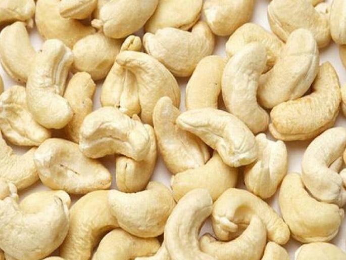 Cashew production declines but prices remain satisfactory | व्यथा काजू उत्पादकांच्या: आंब्याप्रमाणेच काजूलाही हवामानाचा मोठा फटका, मात्र.. Cashew production declines but prices remain satisfactory | व्यथा काजू उत्पादकांच्या: आंब्याप्रमाणेच काजूलाही हवामानाचा मोठा फटका, मात्र..