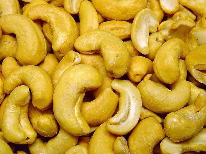 There is a cashew board; but there is no guaranteed price, admits the state government | काजू मंडळ आहे; हमीभाव मात्र नाही, राज्य सरकारची कबुली  There is a cashew board; but there is no guaranteed price, admits the state government | काजू मंडळ आहे; हमीभाव मात्र नाही, राज्य सरकारची कबुली
