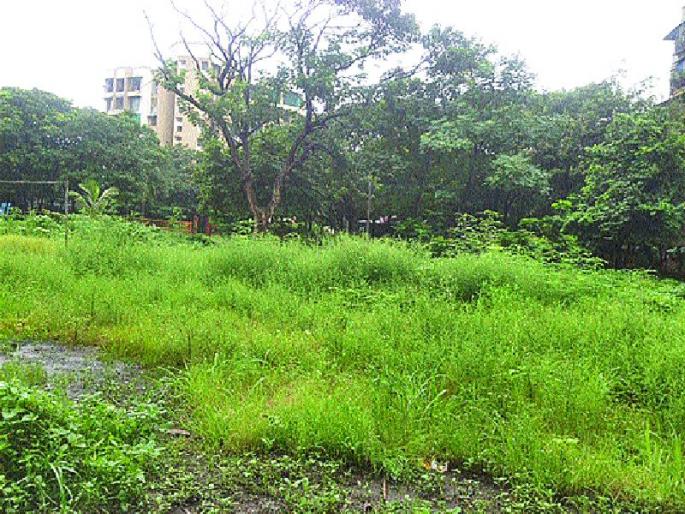 Kalmboli gardens drought | कळंबोलीतील उद्यानांची दुरवस्था