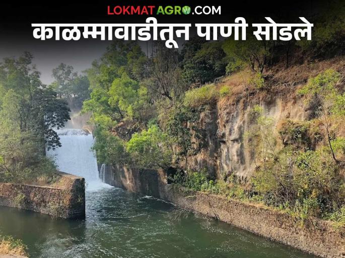 Kalammawadi Dam : Finally, water was released from Kalammawadi Dam into the right canal | Kalammawadi Dam : अखेर काळम्मावाडी धरणातून उजव्या कालव्यात पाणी सोडले Kalammawadi Dam : Finally, water was released from Kalammawadi Dam into the right canal | Kalammawadi Dam : अखेर काळम्मावाडी धरणातून उजव्या कालव्यात पाणी सोडले
