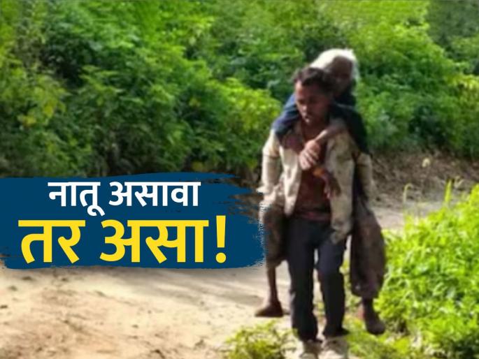 Grandson who carried 70-year-old ailing grandmother on his back becomes a social media hero | ७० वर्षांच्या आजारी आजीला पाठीवरुन घेऊन जाणारा नातू सोशल मीडियावर बनला हिरो Grandson who carried 70-year-old ailing grandmother on his back becomes a social media hero | ७० वर्षांच्या आजारी आजीला पाठीवरुन घेऊन जाणारा नातू सोशल मीडियावर बनला हिरो