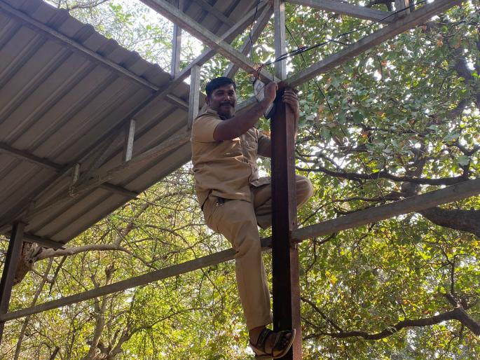 lokmat impact story electrification in kalhe village cemetery | कल्हे गावातील स्मशानभुमीत विजेची व्यवस्था; कर्नाळा ग्रामपंचायती मार्फत अखेर उपाययोजना lokmat impact story electrification in kalhe village cemetery | कल्हे गावातील स्मशानभुमीत विजेची व्यवस्था; कर्नाळा ग्रामपंचायती मार्फत अखेर उपाययोजना