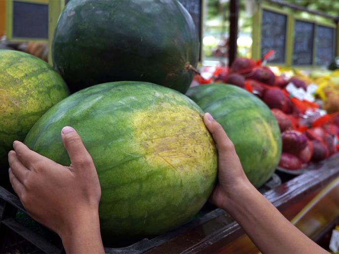 Summer Special: When buying Kalingad, how do you know if it is reddish, sweet, granular on the inside? | Summer Special : कलिंगड खरेदी करताना ते आतून लालबुंद, गोड, रवाळ आहे हे कसं ओळखाल?