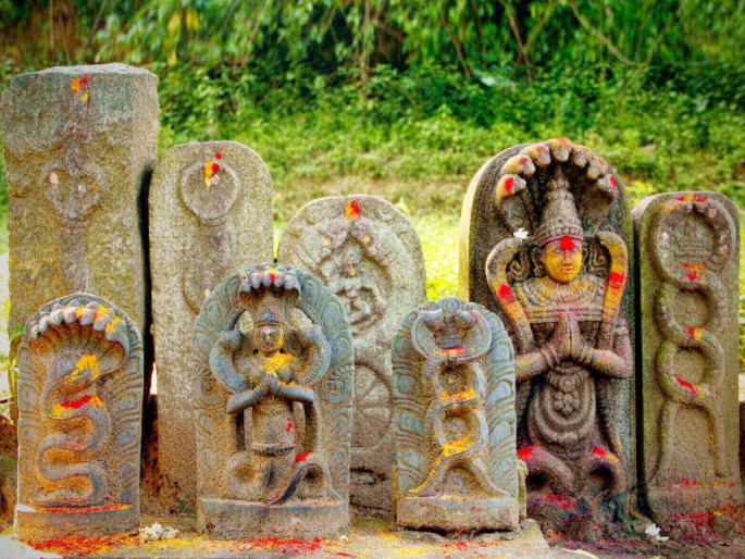 Astrology Tips: Don't panic when you find out that there is Kal Sarpa yoga in your horoscope, do 'this' free solution! | Astrology Tips: तुमच्या कुंडलीत काल सर्प दोष आहे? घाबरू नका, 'हे' बिनखर्चिक उपाय करा! Astrology Tips: Don't panic when you find out that there is Kal Sarpa yoga in your horoscope, do 'this' free solution! | Astrology Tips: तुमच्या कुंडलीत काल सर्प दोष आहे? घाबरू नका, 'हे' बिनखर्चिक उपाय करा!