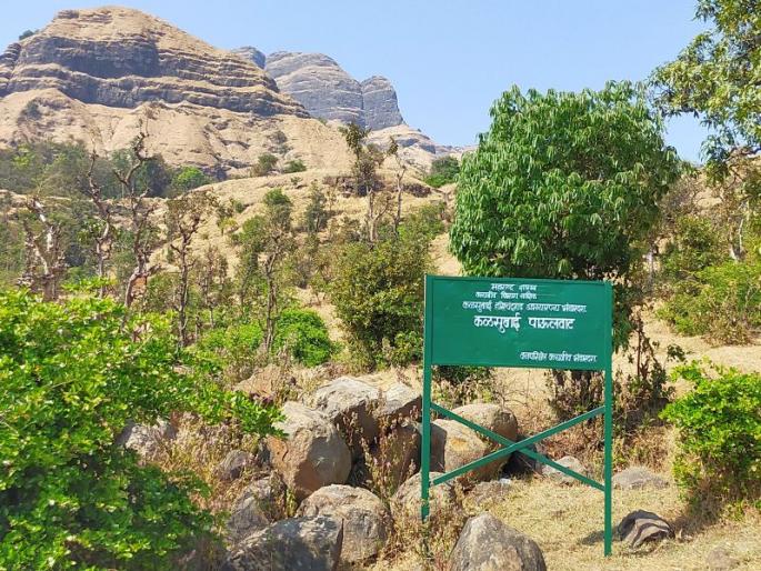 Kalsubai-Harishchandragad Sanctuary: | कळसुबाई-हरिश्चंद्रगड अभयारण्य : यंदा वणवा भडकला नाही...!