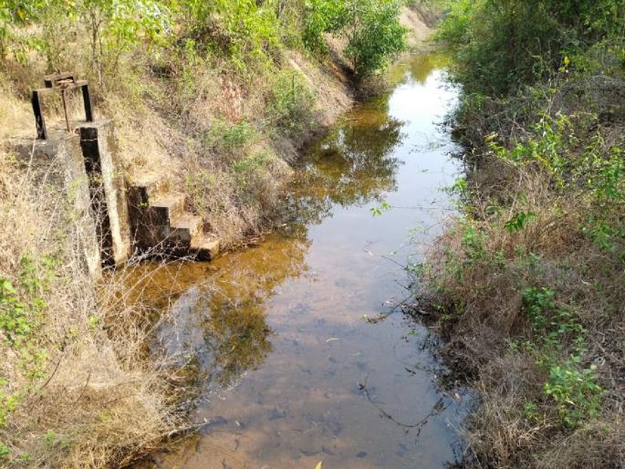 Canal repair work completed, Tilari water pouring till April 5; Permission from Goa too | कालव्यातील दुरुस्तीची कामे पूर्ण, तिलारीचे पाणी 5 एप्रिलपर्यंत ओटवणेत; गोव्याकडूनही परवानगी Canal repair work completed, Tilari water pouring till April 5; Permission from Goa too | कालव्यातील दुरुस्तीची कामे पूर्ण, तिलारीचे पाणी 5 एप्रिलपर्यंत ओटवणेत; गोव्याकडूनही परवानगी