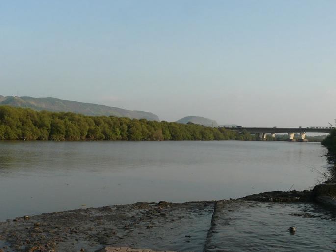 Success in saving the life of the person who jumped into the creek, the youth's life was saved due to the incident of the locals | खाडीत उडी मारणाऱ्याचे प्राण वाचविण्यात यश, स्थानिकांच्या प्रसंगावधनामुळे तरुणाचा जीव वाचला Success in saving the life of the person who jumped into the creek, the youth's life was saved due to the incident of the locals | खाडीत उडी मारणाऱ्याचे प्राण वाचविण्यात यश, स्थानिकांच्या प्रसंगावधनामुळे तरुणाचा जीव वाचला