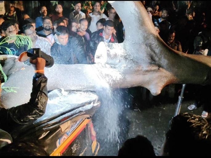 Major accident as tree falls on rickshaw in Kalyan, three people including rickshaw driver and two passengers die | कल्याणमध्ये रिक्षावर झाड कोसळून मोठी दुर्घटना, रिक्षाचालक आणि दोन प्रवाशांसह तीन जणांचा मृत्यू