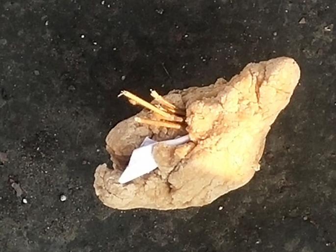 Aghori!Gram Panchayat Candidate's name paper in the cemetery in Kalyan gramin | अघोरी! उमेदवारांच्या नावाचा कागद स्मशानात; ग्राम पंचायत मतदानादिवशी उडाली खळबळ Aghori!Gram Panchayat Candidate's name paper in the cemetery in Kalyan gramin | अघोरी! उमेदवारांच्या नावाचा कागद स्मशानात; ग्राम पंचायत मतदानादिवशी उडाली खळबळ