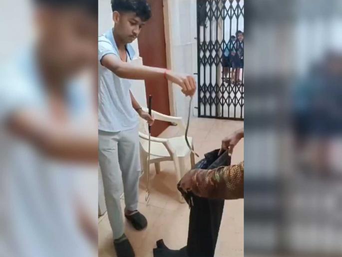 snake came out in the classroom of railway school in kalyan | कल्याणमधील रेल्वे शाळेच्या वर्गात निघाला साप snake came out in the classroom of railway school in kalyan | कल्याणमधील रेल्वे शाळेच्या वर्गात निघाला साप