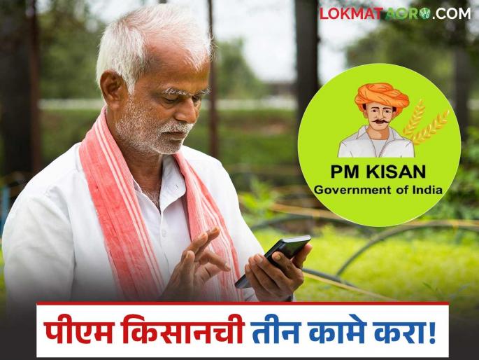 Latest News PM Kisan Yojana Complete 'these' three important tasks then get pm kisan 20th installment | PM Kisan Yojana : 'ही' तीन महत्त्वाची कामे पूर्ण करा, मगच तुम्हाला पीएम किसानचे पैसे मिळतील!
