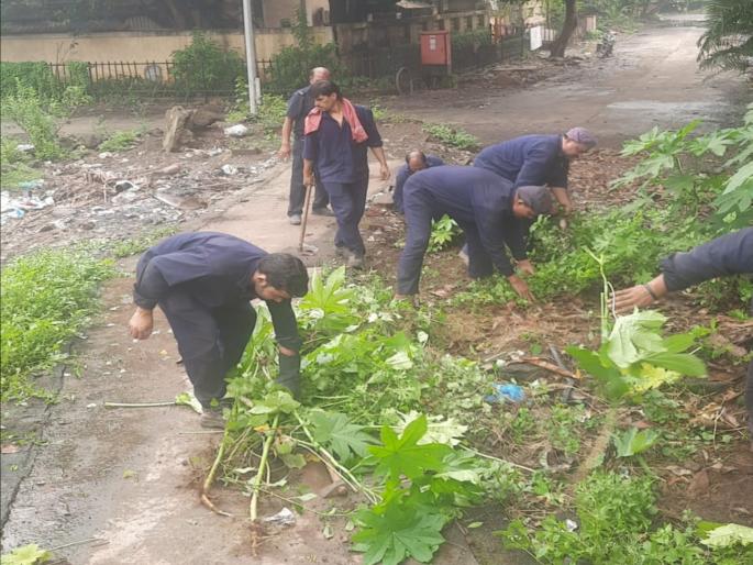 kama took the initiative to clean up in kdmc midc area | केडीएमसीला एमआयडीसीचे वावडे! ‘कामा’ ने पुढाकार घेत केली साफसफाई kama took the initiative to clean up in kdmc midc area | केडीएमसीला एमआयडीसीचे वावडे! ‘कामा’ ने पुढाकार घेत केली साफसफाई