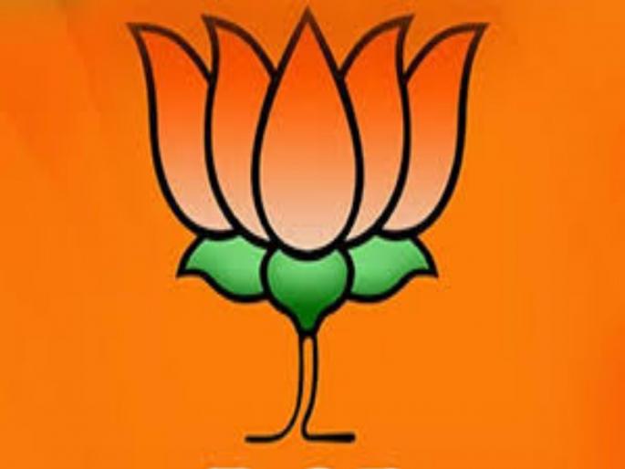 BJP's new face for Pune? ; Local Plans Sprinkle | भाजपाकडून पुण्यासाठी नवा चेहरा? ; स्थानिक पातळीवर चर्चांना उधाण BJP's new face for Pune? ; Local Plans Sprinkle | भाजपाकडून पुण्यासाठी नवा चेहरा? ; स्थानिक पातळीवर चर्चांना उधाण
