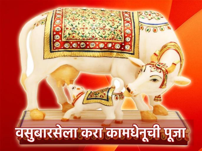 Diwali 2023: Bring home Kamdhenu idol to Vasubarse; All wishes will be fulfilled by worshiping her! | Diwali 2023: वसुबारसेला घरी आणा कामधेनूची मूर्ती; तिच्या पूजेने होईल सर्व कामनांची पूर्ती! Diwali 2023: Bring home Kamdhenu idol to Vasubarse; All wishes will be fulfilled by worshiping her! | Diwali 2023: वसुबारसेला घरी आणा कामधेनूची मूर्ती; तिच्या पूजेने होईल सर्व कामनांची पूर्ती!