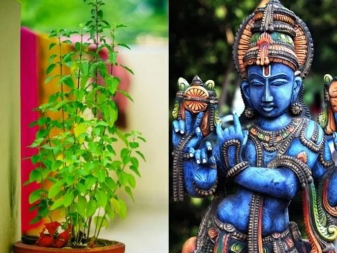 Kamika Ekadashi 2022: Why is Kamika Ekadashi called Krishnaikadashi? Know the special Vrat ritual of this day! | Kamika Ekadashi 2022: कामिका एकादशीला कृष्णैकादशी का म्हणतात? या व्रताचा विशेष व्रत विधी जाणून घ्या! Kamika Ekadashi 2022: Why is Kamika Ekadashi called Krishnaikadashi? Know the special Vrat ritual of this day! | Kamika Ekadashi 2022: कामिका एकादशीला कृष्णैकादशी का म्हणतात? या व्रताचा विशेष व्रत विधी जाणून घ्या!