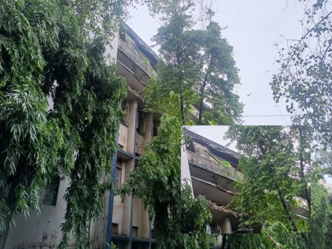 Thane: Slab of Kamgar Hospital collapses; One person was injured | Thane: कामगार हॉस्पिटलचा स्लॅबचा भाग कोसळला; एक जण जखमी Thane: Slab of Kamgar Hospital collapses; One person was injured | Thane: कामगार हॉस्पिटलचा स्लॅबचा भाग कोसळला; एक जण जखमी