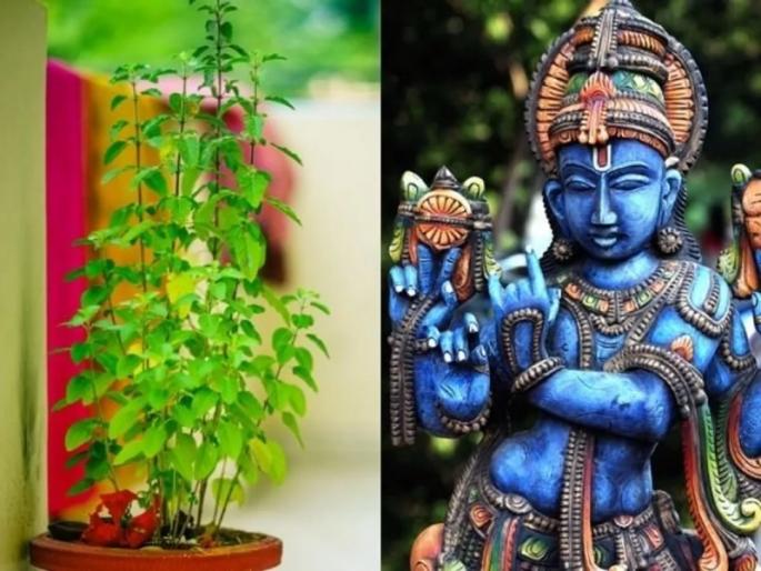 The mythological significance of Kamika Ekadashi, the current relation of this vrata and the ritual! | कामिका एकादशीचे पौराणिक महत्त्व, या व्रताची सद्यस्थितीशी सांगड आणि पूजाविधी! The mythological significance of Kamika Ekadashi, the current relation of this vrata and the ritual! | कामिका एकादशीचे पौराणिक महत्त्व, या व्रताची सद्यस्थितीशी सांगड आणि पूजाविधी!