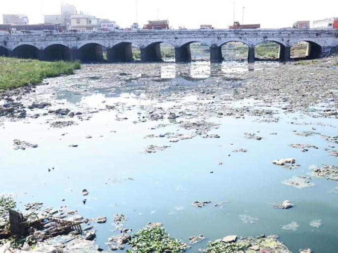 Human chain for the conservation of the Kamvari river | कामवारी नदीच्या संवर्धनासाठी केली मानवी साखळी Human chain for the conservation of the Kamvari river | कामवारी नदीच्या संवर्धनासाठी केली मानवी साखळी