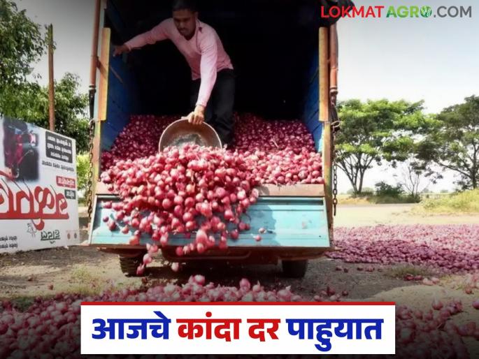 Latest News kanda market How many arrivals and what prices were received in Lasalgaon and Pimpalgaon onion markets | Kanda Market : लासलगाव, पिंपळगाव कांदा मार्केटमध्ये किती आवक, काय दर मिळाले?  Latest News kanda market How many arrivals and what prices were received in Lasalgaon and Pimpalgaon onion markets | Kanda Market : लासलगाव, पिंपळगाव कांदा मार्केटमध्ये किती आवक, काय दर मिळाले?